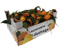 CASSETTA CLEMENTINE